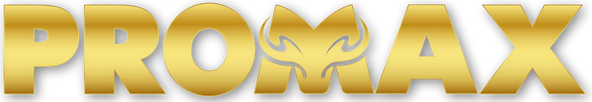 ProMax Partners logo